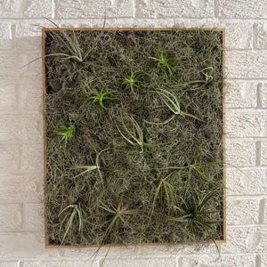 Living Picture Frame