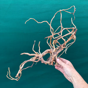 Drift Wood NEW