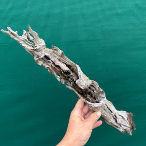 Drift Wood NEW