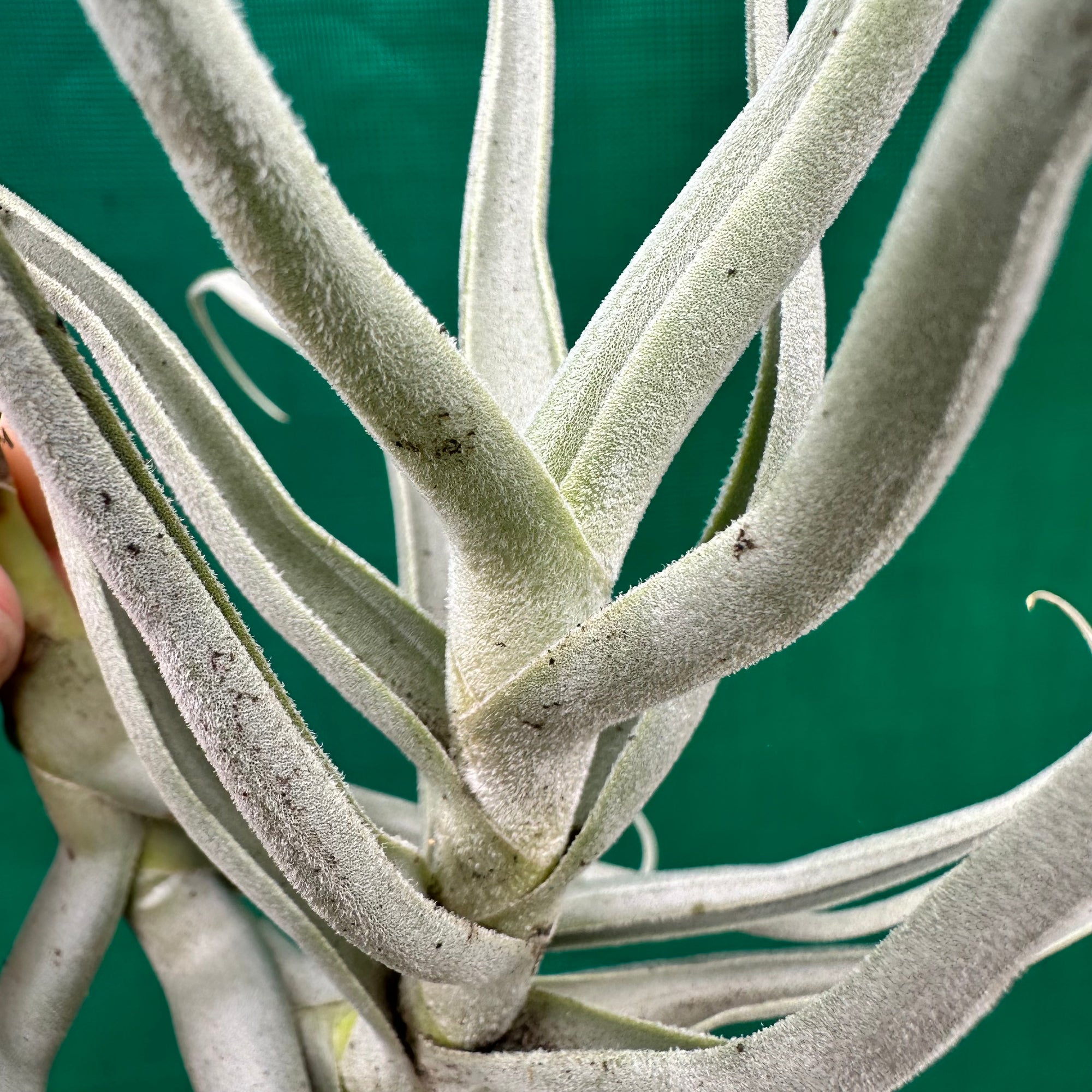 410741A1-8C48-4FBF-8F1F-