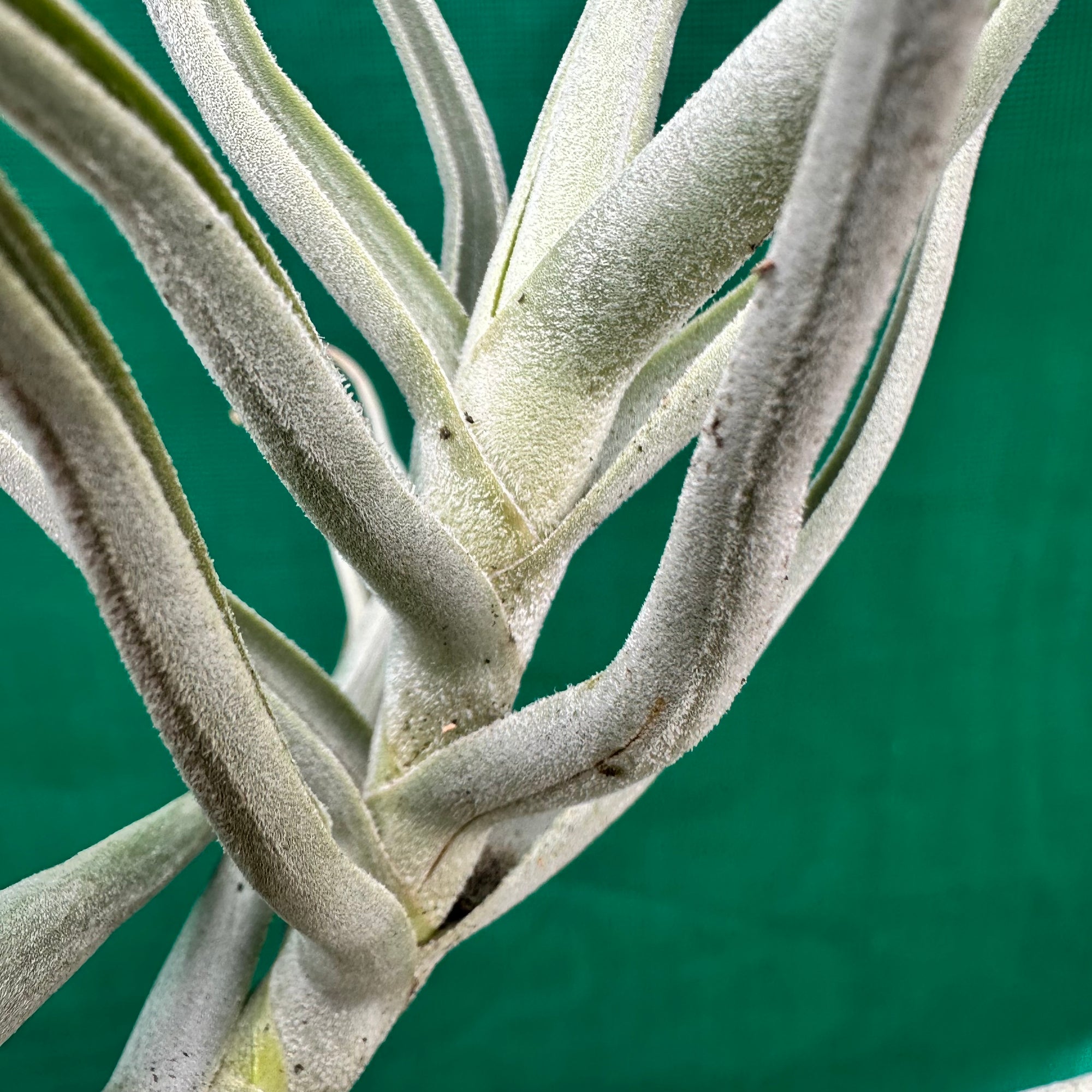 55F53785-52AA-46F1-A74F-