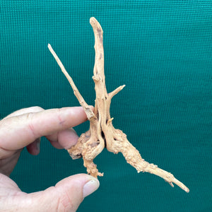 Drift Wood NEW