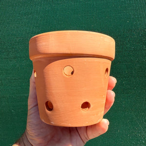 Terracotta Holey Pot NEW