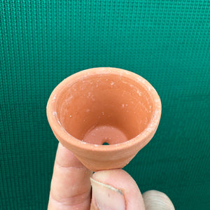 Terracotta Mini Pot NEW