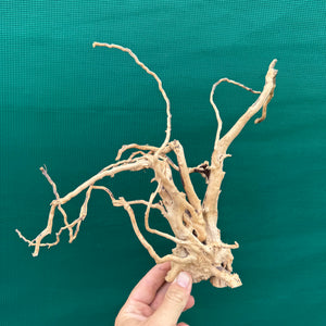 Drift Wood NEW