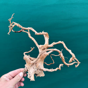 Drift Wood NEW