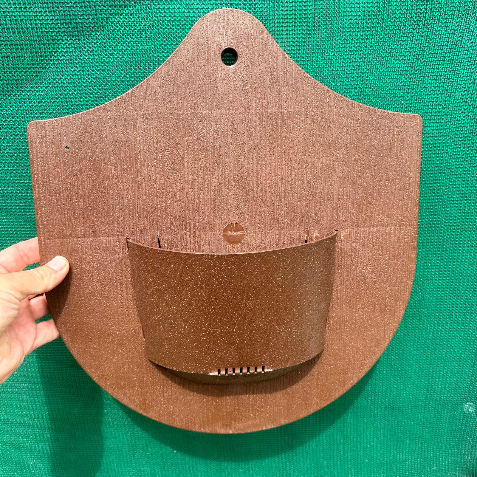 Platycerium Shield Hanger