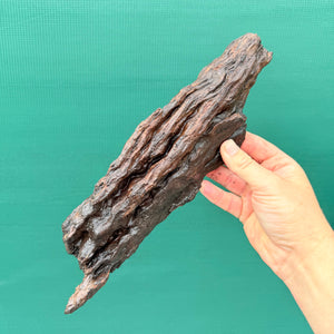 Drift Wood