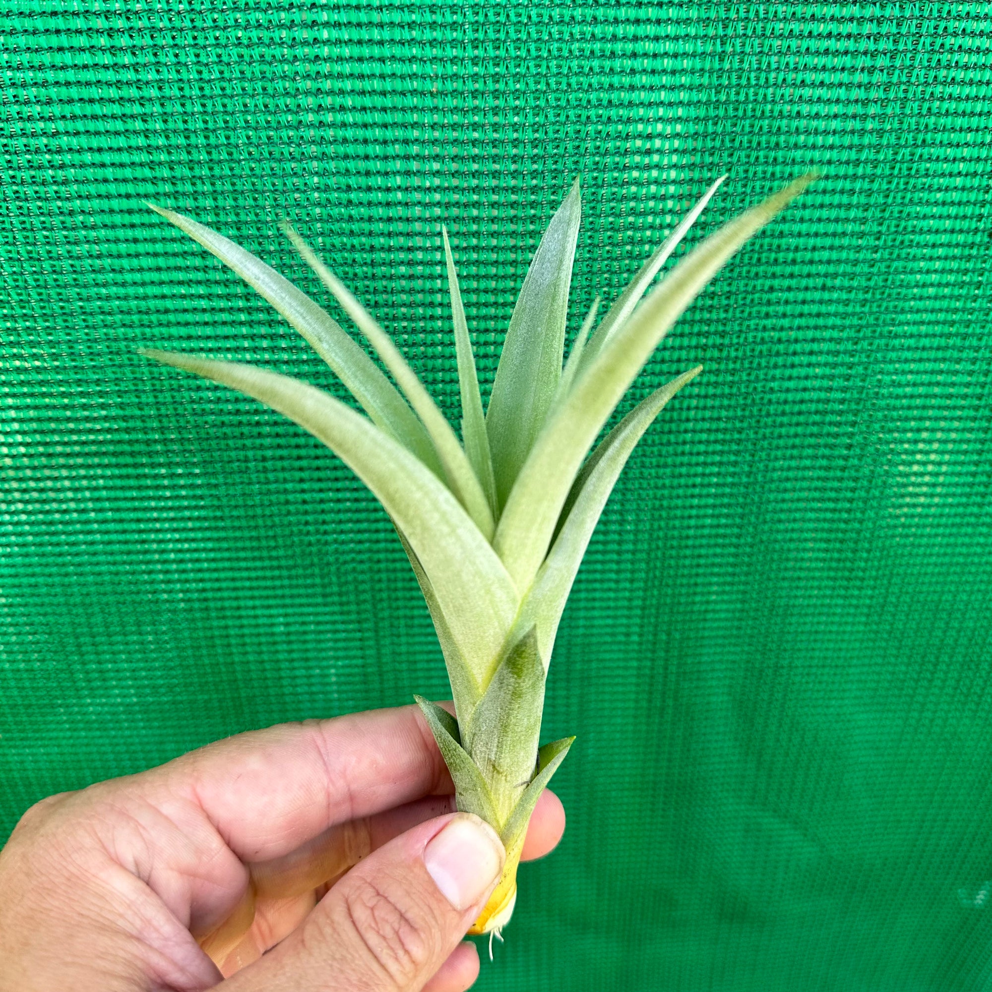 CB4F8740-6A95-4A55-86C2-