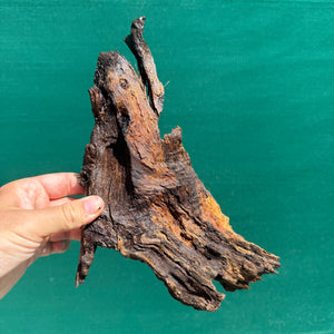 Drift Wood NEW
