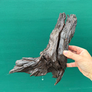 Drift Wood