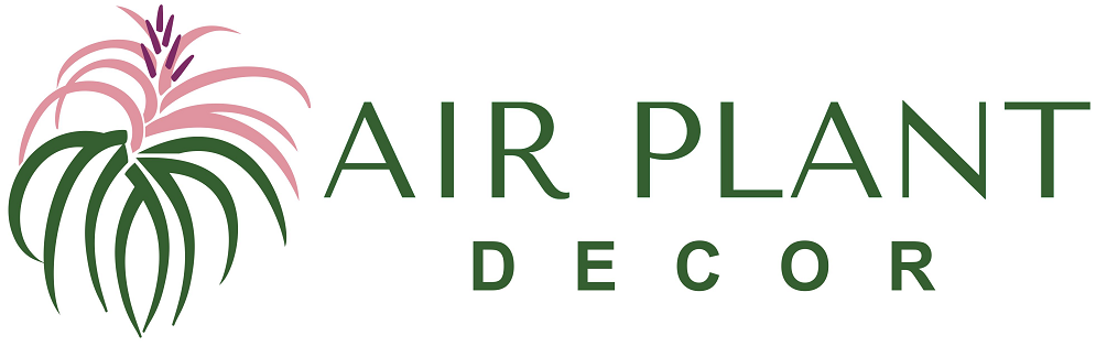 Air Plant Decor logo