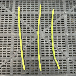 Rhipsalis flaggeliformis R65