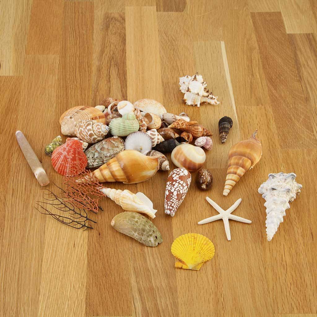 Accessories - Beach Box