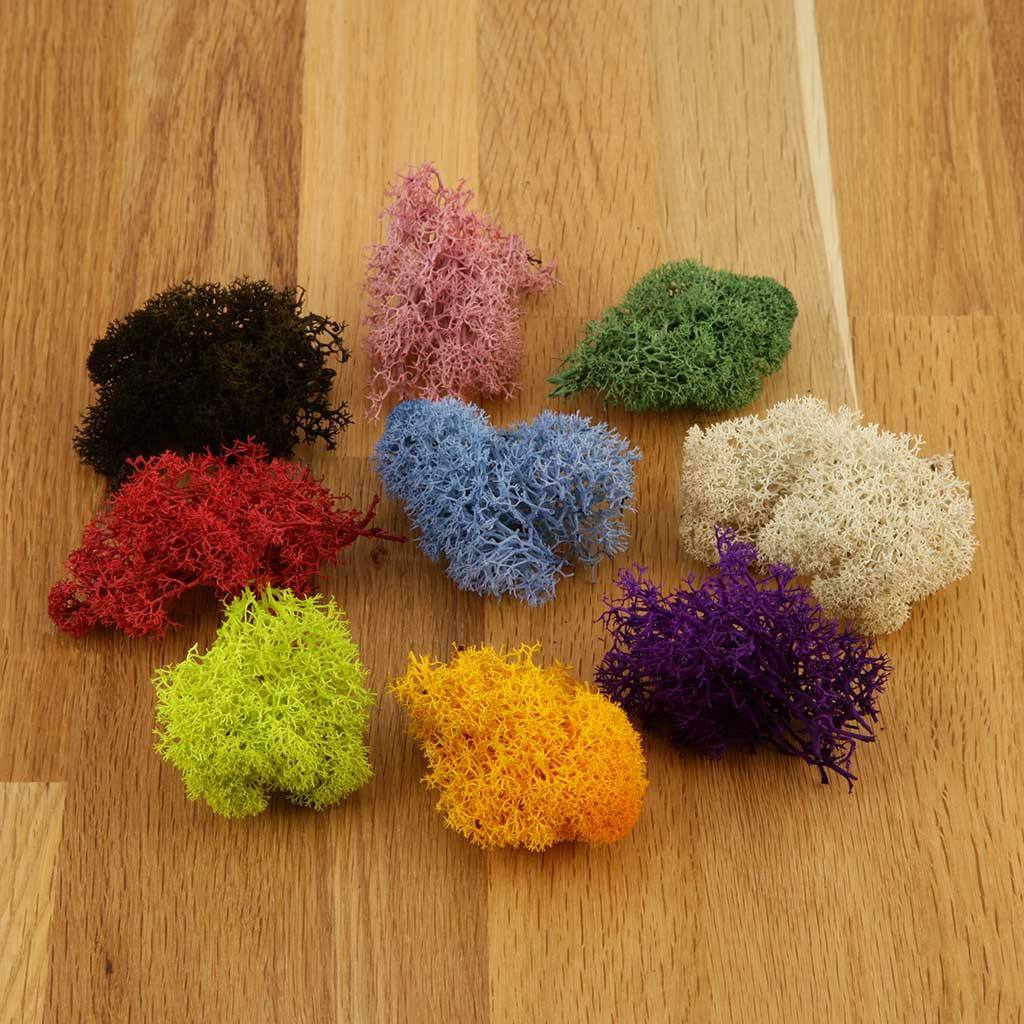 Accessories - Coloured Reindeer Moss