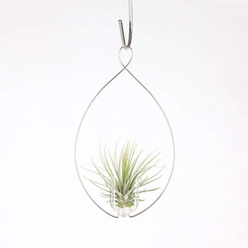 Accessories - Water Drop Hanger