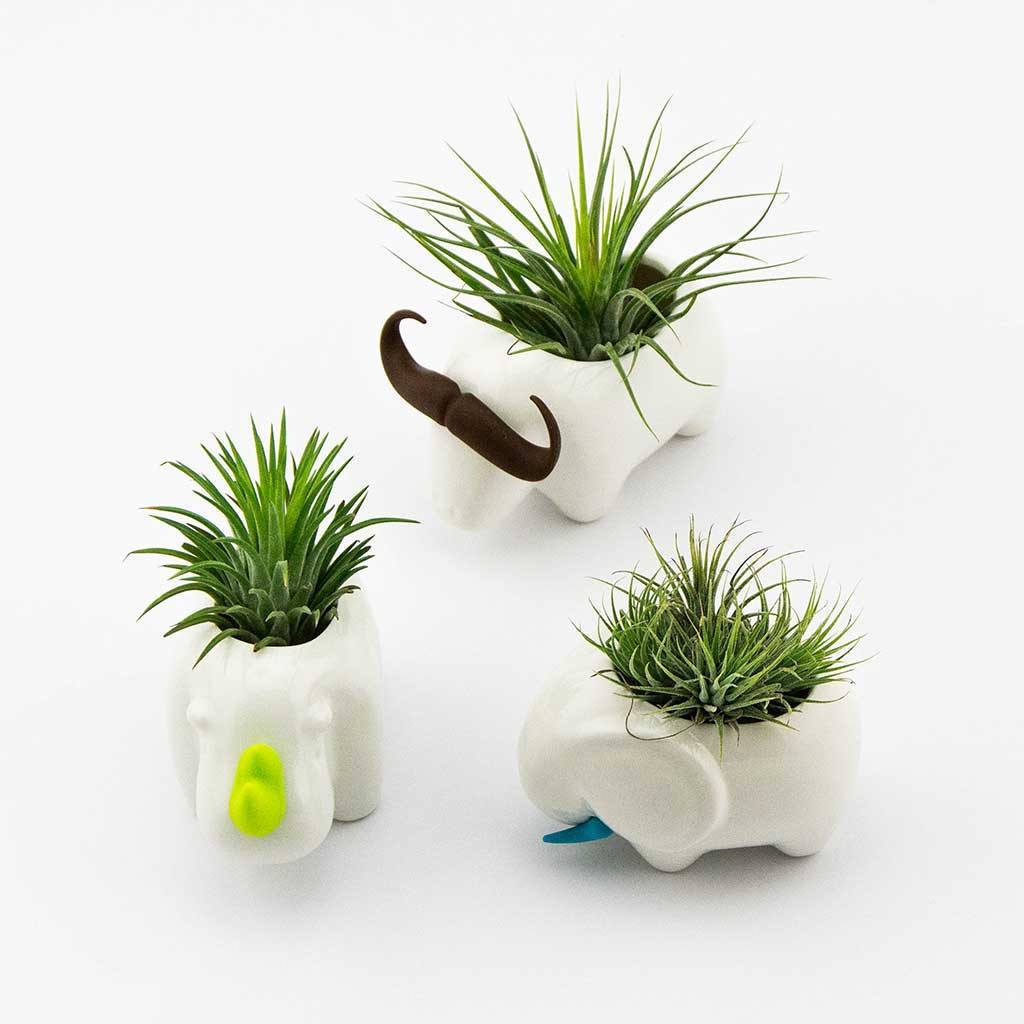 Decor - Animal Planter