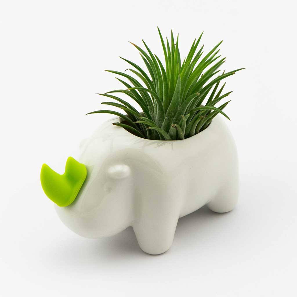 rhino plant pot Animal Planter