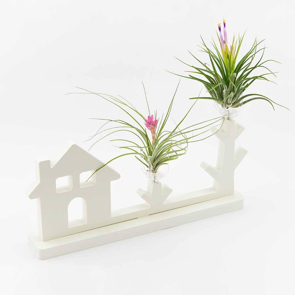 Decor - Garden