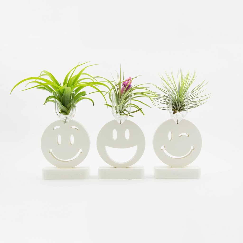 Decor - Happy Faces