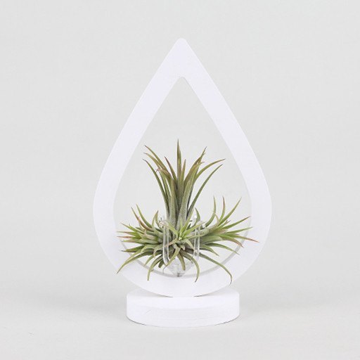 Decor - Water Drop