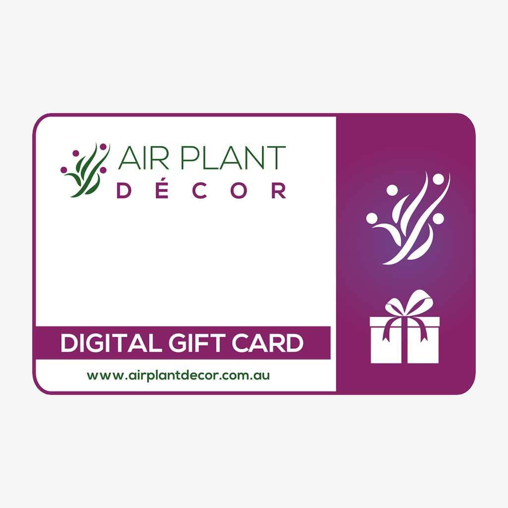 Gift Card - Gift Card