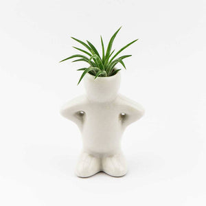 Gifts - Air Plant People