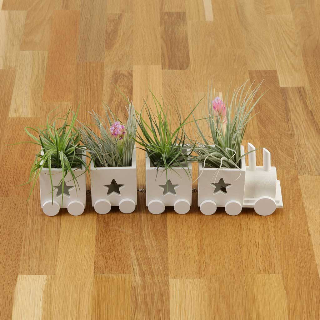 Gifts - Train Planter