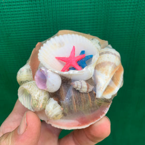 Small Shell Pack