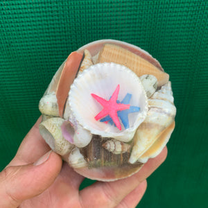 Small Shell Pack