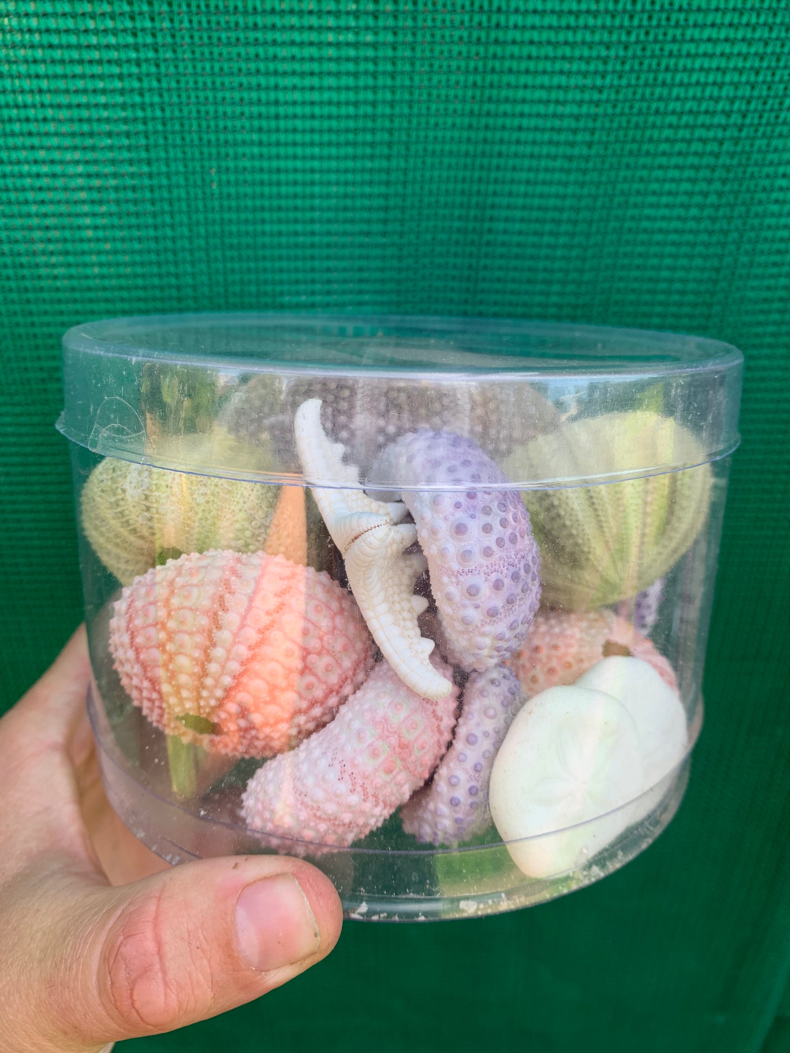 Accessories - Mega Urchin Pack