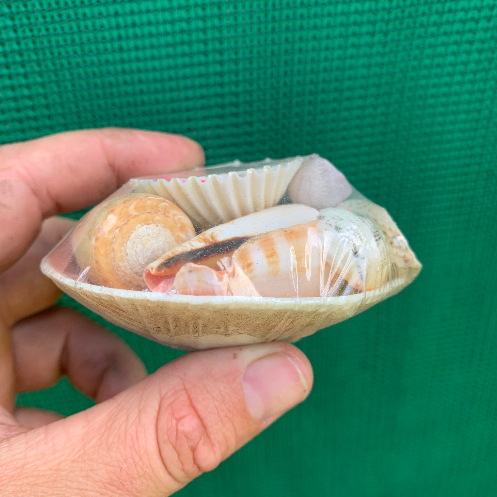 Accessories - Small Shell Pack