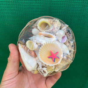 Medium Shell Pack