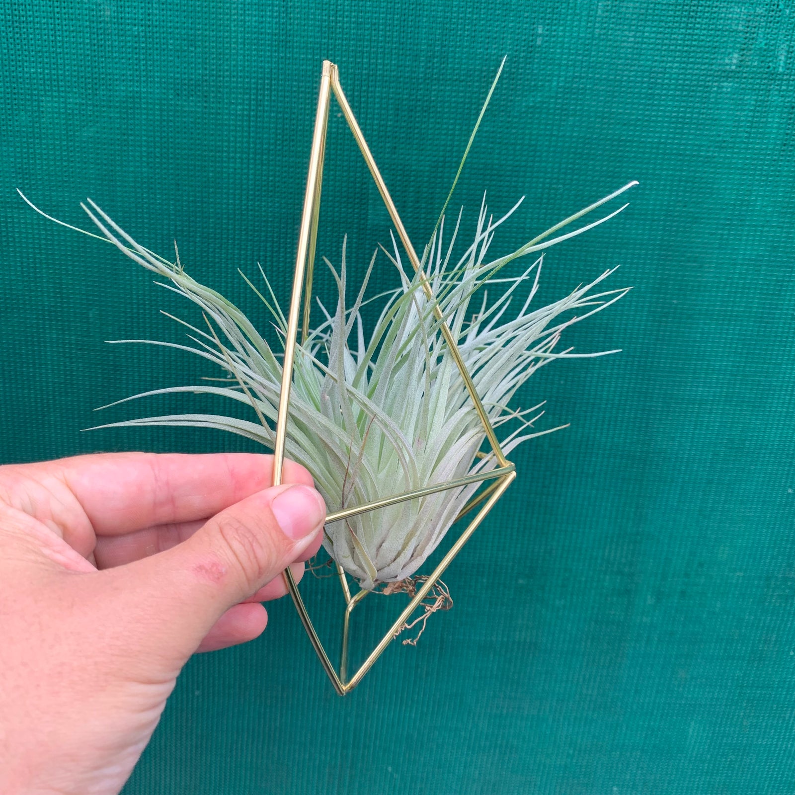 Himmeli Flat Geo Hanger