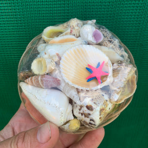 Medium Shell Pack