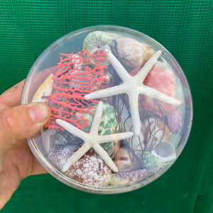Beach Box