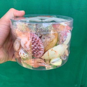 Beach Box
