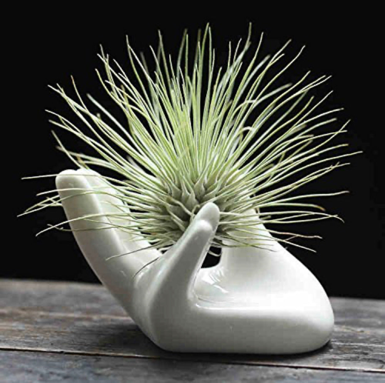 Ceramic Hand Planter