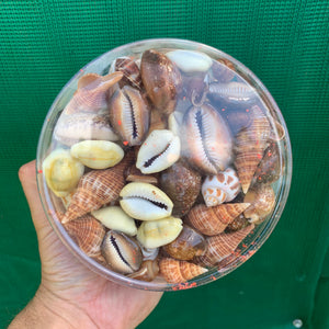 Beach Box