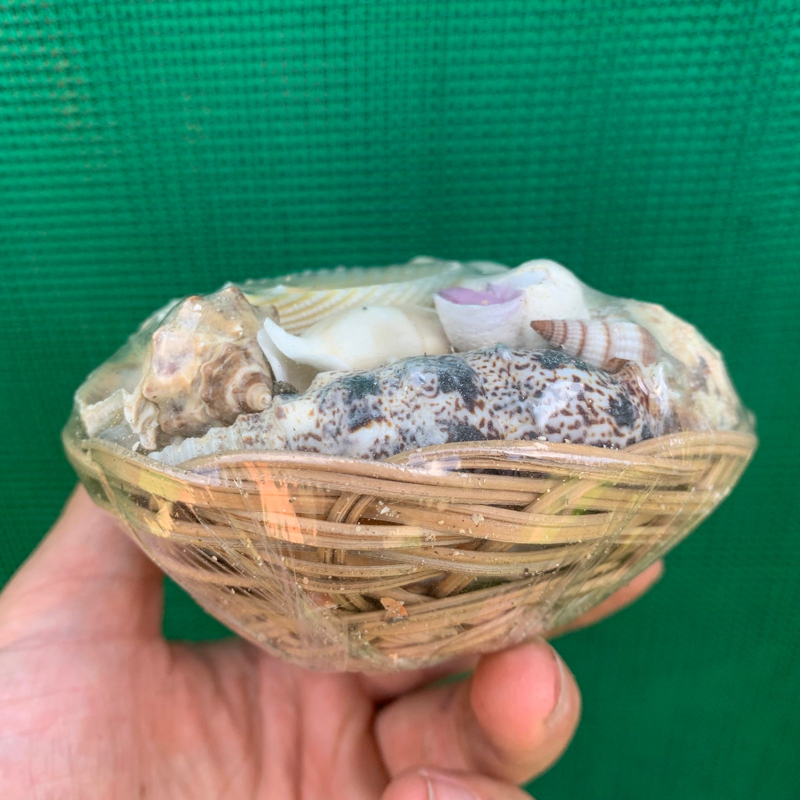 Accessories - Medium Shell Pack