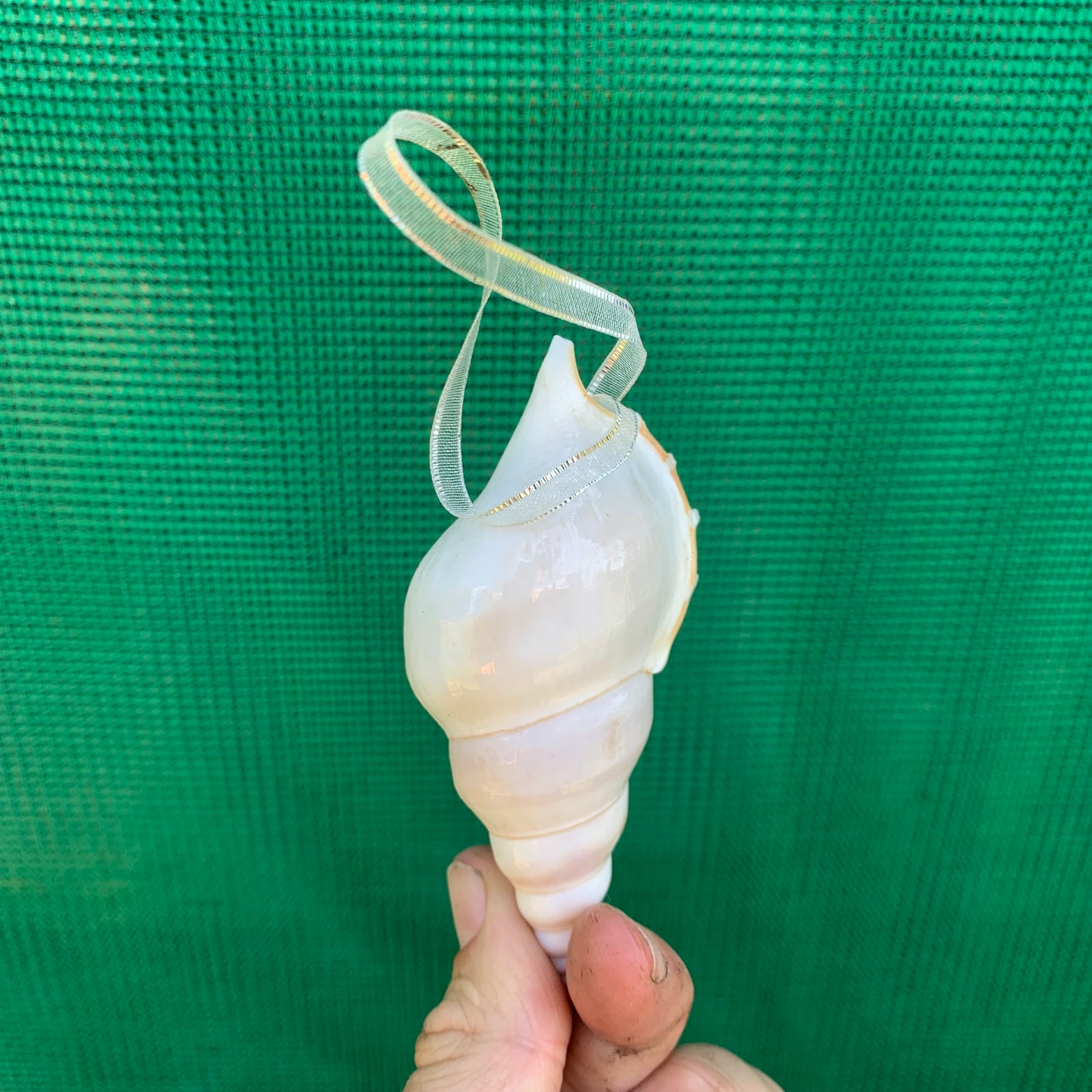 Gifts - Hanging Sea Shell Planter