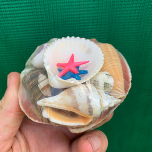 Small Shell Pack