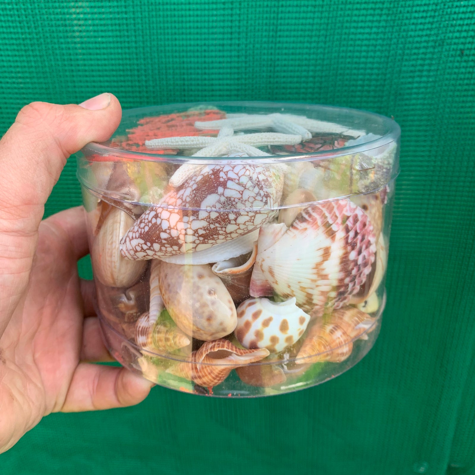 Accessories - Beach Box